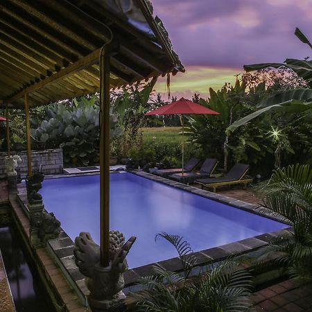Hotel Soca House Ubud Zewnętrze zdjęcie