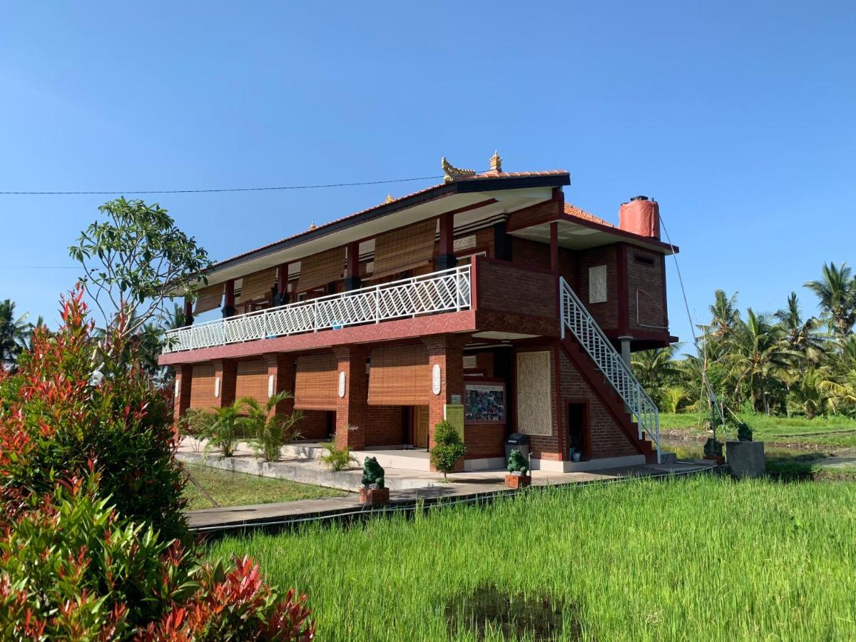 Hotel Soca House Ubud Zewnętrze zdjęcie